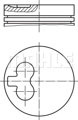 Wilmink Group WG1424214 - Pistone autozon.pro