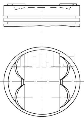 Wilmink Group WG1425768 - Pistone autozon.pro