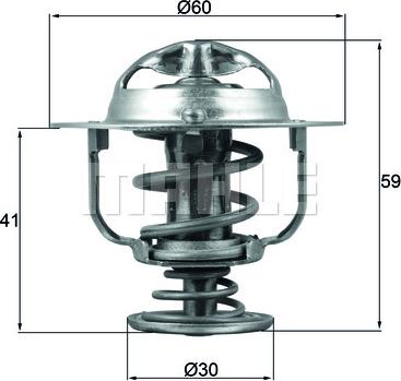 Wilmink Group WG1426538 - Termostato, Refrigerante autozon.pro