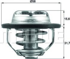 Wilmink Group WG1426520 - Termostato, Refrigerante autozon.pro