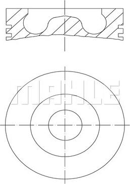 Wilmink Group WG1423445 - Pistone autozon.pro