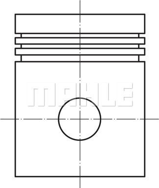 Wilmink Group WG1423420 - Pistone autozon.pro