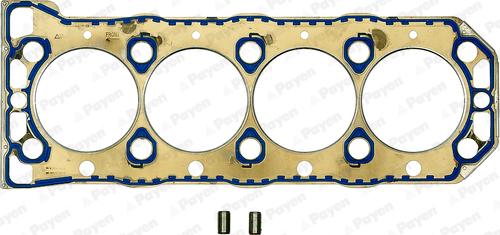 Wilmink Group WG1090246 - Guarnizione, Testata autozon.pro