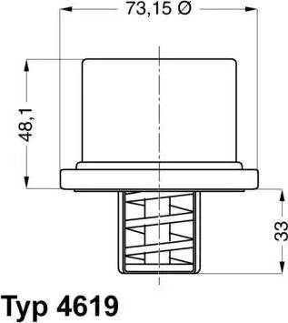 Wilmink Group WG1091558 - Termostato, Refrigerante autozon.pro