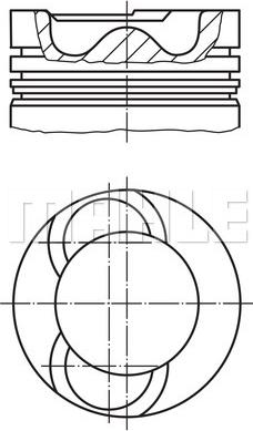 Wilmink Group WG1098304 - Pistone autozon.pro