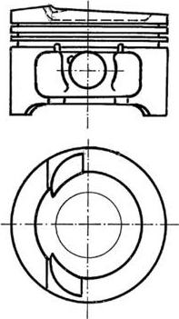 Wilmink Group WG1022167 - Pistone autozon.pro