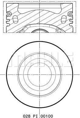 Wilmink Group WG1155257 - Pistone autozon.pro