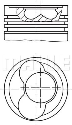 Wilmink Group WG1150556 - Pistone autozon.pro