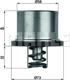 Wilmink Group WG1150247 - Termostato, Refrigerante autozon.pro