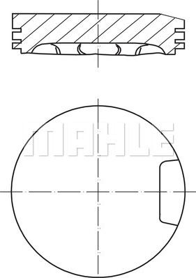 Wilmink Group WG1212348 - Pistone autozon.pro