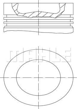 Wilmink Group WG1104535 - Pistone autozon.pro