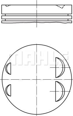 Wilmink Group WG1104627 - Pistone autozon.pro