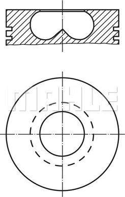 Wilmink Group WG1104173 - Pistone autozon.pro