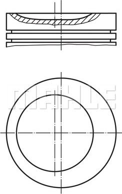 Wilmink Group WG1104396 - Pistone autozon.pro