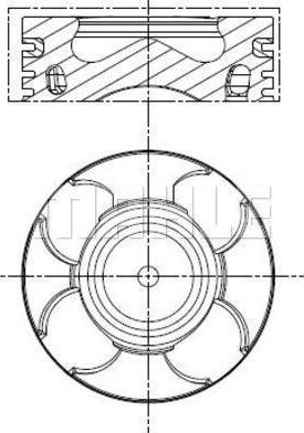 Wilmink Group WG1104244 - Pistone autozon.pro