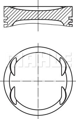 Wilmink Group WG1104255 - Pistone autozon.pro