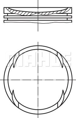 Wilmink Group WG1104611 - Pistone autozon.pro