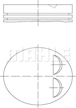 Wilmink Group WG1104227 - Pistone autozon.pro