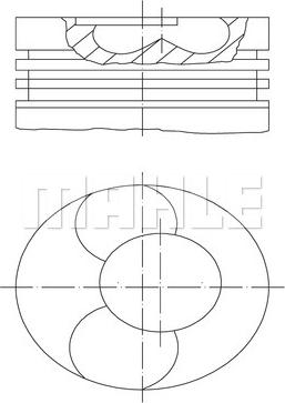 Wilmink Group WG1104707 - Pistone autozon.pro