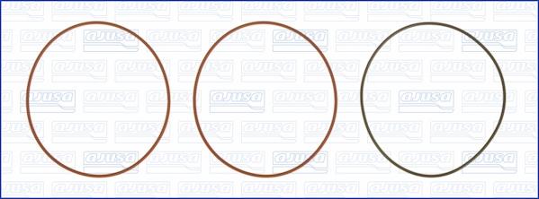 Wilmink Group WG1170206 - Kit guarnizioni, Canna cilindro autozon.pro