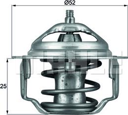 Wilmink Group WG1264900 - Termostato, Refrigerante autozon.pro