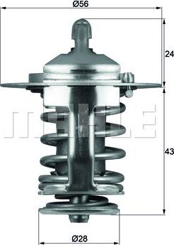 Wilmink Group WG1264902 - Termostato, Refrigerante autozon.pro