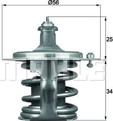 Wilmink Group WG1264935 - Termostato, Refrigerante autozon.pro