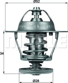 Wilmink Group WG1264924 - Termostato, Refrigerante autozon.pro