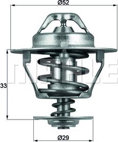 Wilmink Group WG1264923 - Termostato, Refrigerante autozon.pro