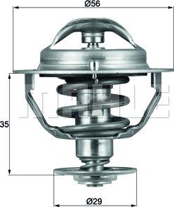 Wilmink Group WG1264895 - Termostato, Refrigerante autozon.pro