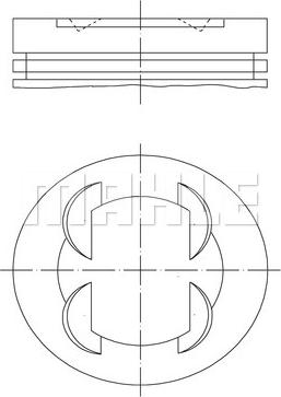 Wilmink Group WG1261423 - Pistone autozon.pro