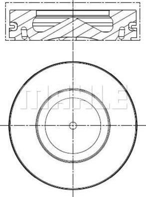 Wilmink Group WG1261171 - Pistone autozon.pro