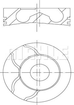 Wilmink Group WG1263827 - Pistone autozon.pro