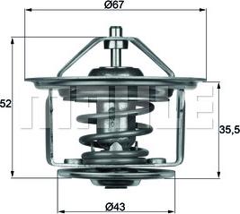 Wilmink Group WG1262681 - Termostato, Refrigerante autozon.pro