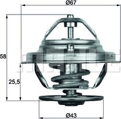 Wilmink Group WG1262707 - Termostato, Refrigerante autozon.pro