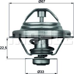 Wilmink Group WG1262719 - Termostato, Refrigerante autozon.pro