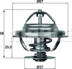 Wilmink Group WG1262710 - Termostato, Refrigerante autozon.pro