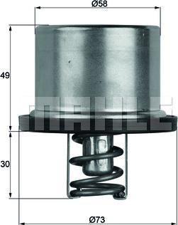 Wilmink Group WG1262770 - Termostato, Refrigerante autozon.pro