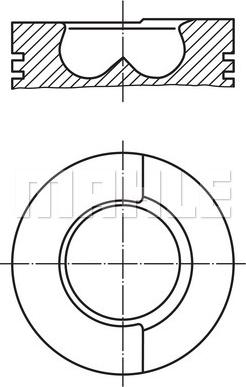 Wilmink Group WG1201206 - Pistone autozon.pro