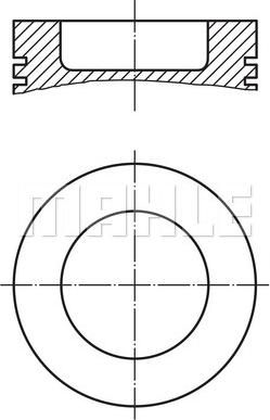 Wilmink Group WG1214140 - Pistone autozon.pro