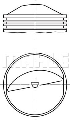 Wilmink Group WG1214309 - Pistone autozon.pro