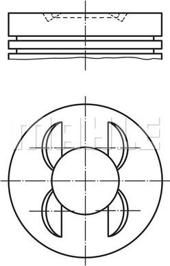 Wilmink Group WG1214296 - Pistone autozon.pro