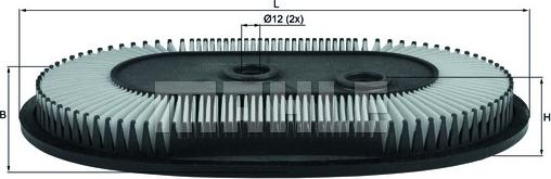 Wilmink Group WG1216851 - Filtro aria autozon.pro