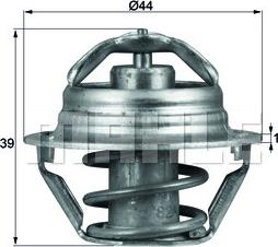 Wilmink Group WG1218011 - Termostato, Refrigerante autozon.pro