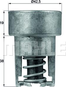 Wilmink Group WG1218024 - Termostato, Refrigerante autozon.pro