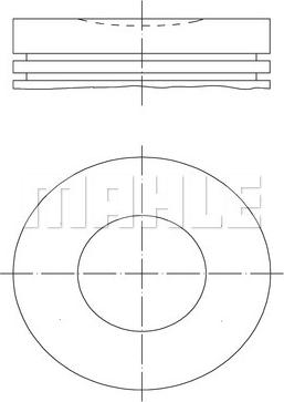 Wilmink Group WG1213059 - Pistone autozon.pro