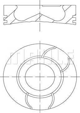 Wilmink Group WG1213007 - Pistone autozon.pro