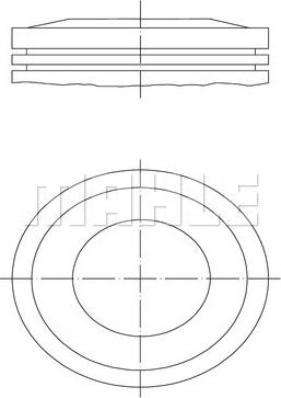 Wilmink Group WG1212344 - Pistone autozon.pro