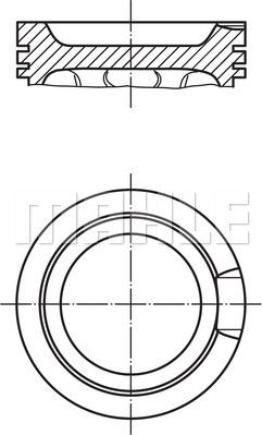 Wilmink Group WG1212354 - Pistone autozon.pro