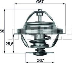 Wilmink Group WG1217906 - Termostato, Refrigerante autozon.pro